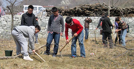  獻(xiàn)愛(ài)心——我為汶川種棵樹(shù) 