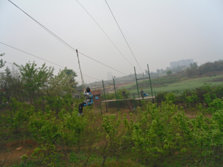 2013    四下春游 - 王老師 - 花開燦爛 我最閃亮