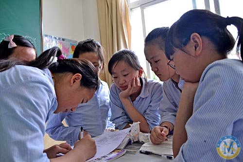 有趣的探究學(xué)習(xí)