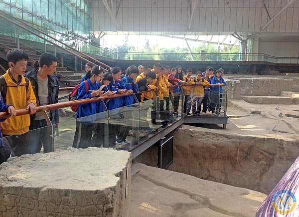 MYP YEAR 3&ldquo;金沙&rdquo;探究活動(dòng)