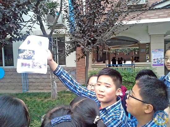 MYP YEAR 3 樹(shù)木探究活動(dòng)