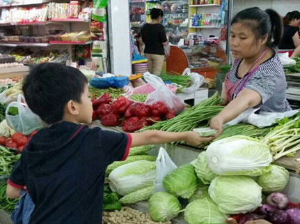  二年級三班九月PYP主題探究活動 