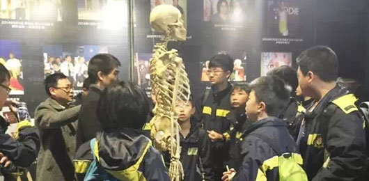  探究生命奧秘，延伸課堂知識(shí)--MYP學(xué)子參觀人體藝術(shù)科普展 