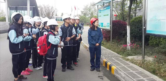  直面垃圾處理，力倡可持續(xù)發(fā)展--MYP3年級(jí)跨學(xué)科探究活動(dòng) 