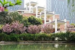  成都美視師一學(xué)校關(guān)于食品安全問題的聲明 