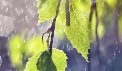 【教研動(dòng)態(tài)】集思廣益促教學(xué)--記五月語(yǔ)文、數(shù)學(xué)組集體備課