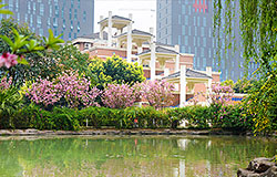  【項(xiàng)目簡(jiǎn)介】美視小學(xué)部 教育教學(xué)特色 