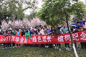  種下一棵樹，留下一片情 