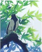  【請柬】這個春天，與你相約在美視 