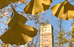 季節(jié)絮語(yǔ) | 第二彈：校園的季節(jié)表達(dá)