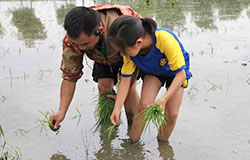  探究課堂：瀲滟田地在召喚——插秧嘍！播種咯！孩子們下地咯！ 