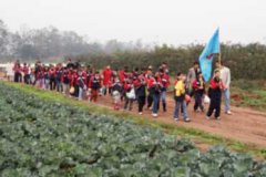 小學(xué)朝暉文學(xué)社采風(fēng)——“綠色基地行”