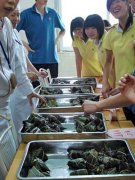 花朵弘揚(yáng)傳統(tǒng)，香粽傳遞愛心——美視學(xué)子在傳統(tǒng)節(jié)日里發(fā)揚(yáng)傳統(tǒng)美德