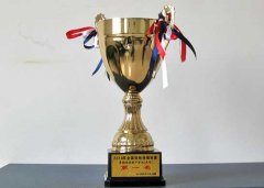 美視學(xué)子榮獲2010年全國啦啦操錦標(biāo)賽中學(xué)組花球無級(jí)別第一名