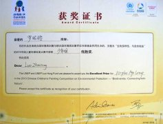 美視學(xué)子榮獲2010中國兒童環(huán)保繪畫大賽少年組優(yōu)勝獎(jiǎng)