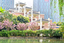 成都美視學(xué)校2019年小升初隨機(jī)派位名單公示