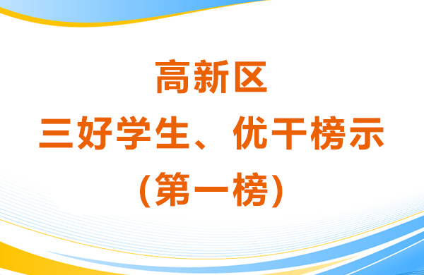 高新區(qū)三好學(xué)生、優(yōu)干榜示(第一榜)