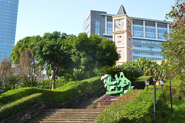 2020年招生公告 | 幼升小、小升初家長(zhǎng)速看！