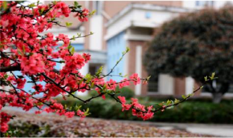 來(lái)吧！一起欣賞美視的校園風(fēng)景圖冊(cè)